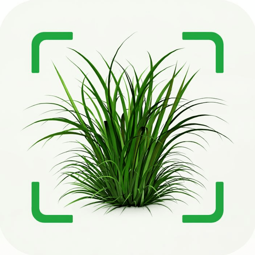 Grass Identifier: Scanner AI