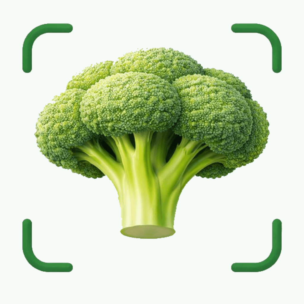 Vegetable Identifier: Scan AI
